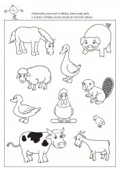  Hrášek a zvířátka - úkoly pro předškoláky